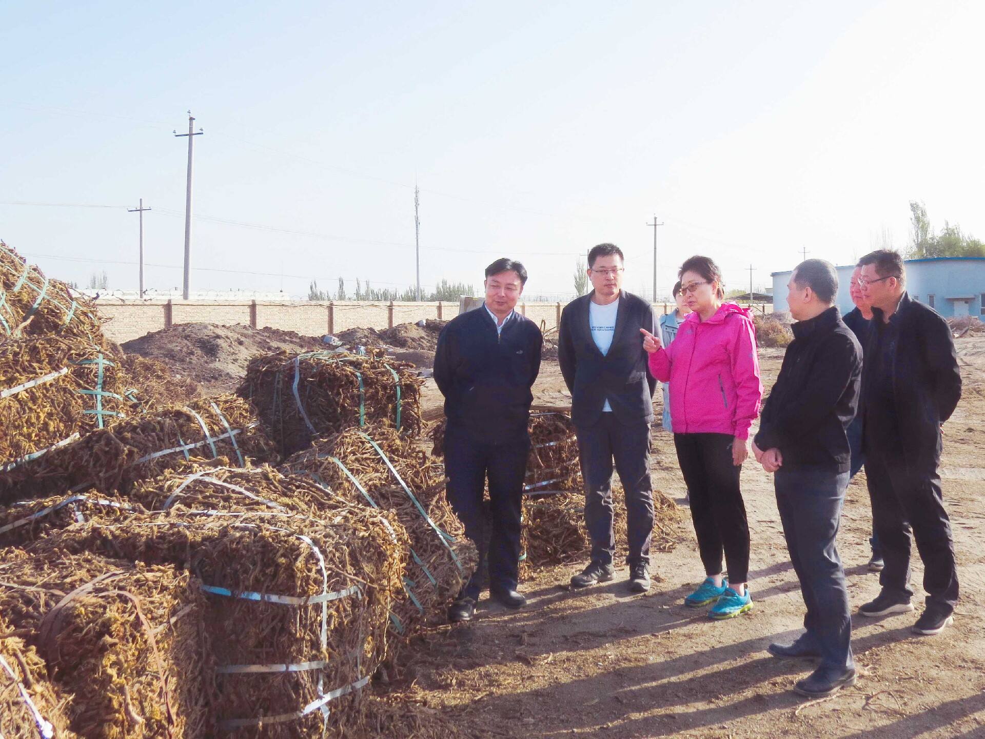 1698287310200883.jpg f6f4a03eb780196bcf0768adf0c89b2.jpg