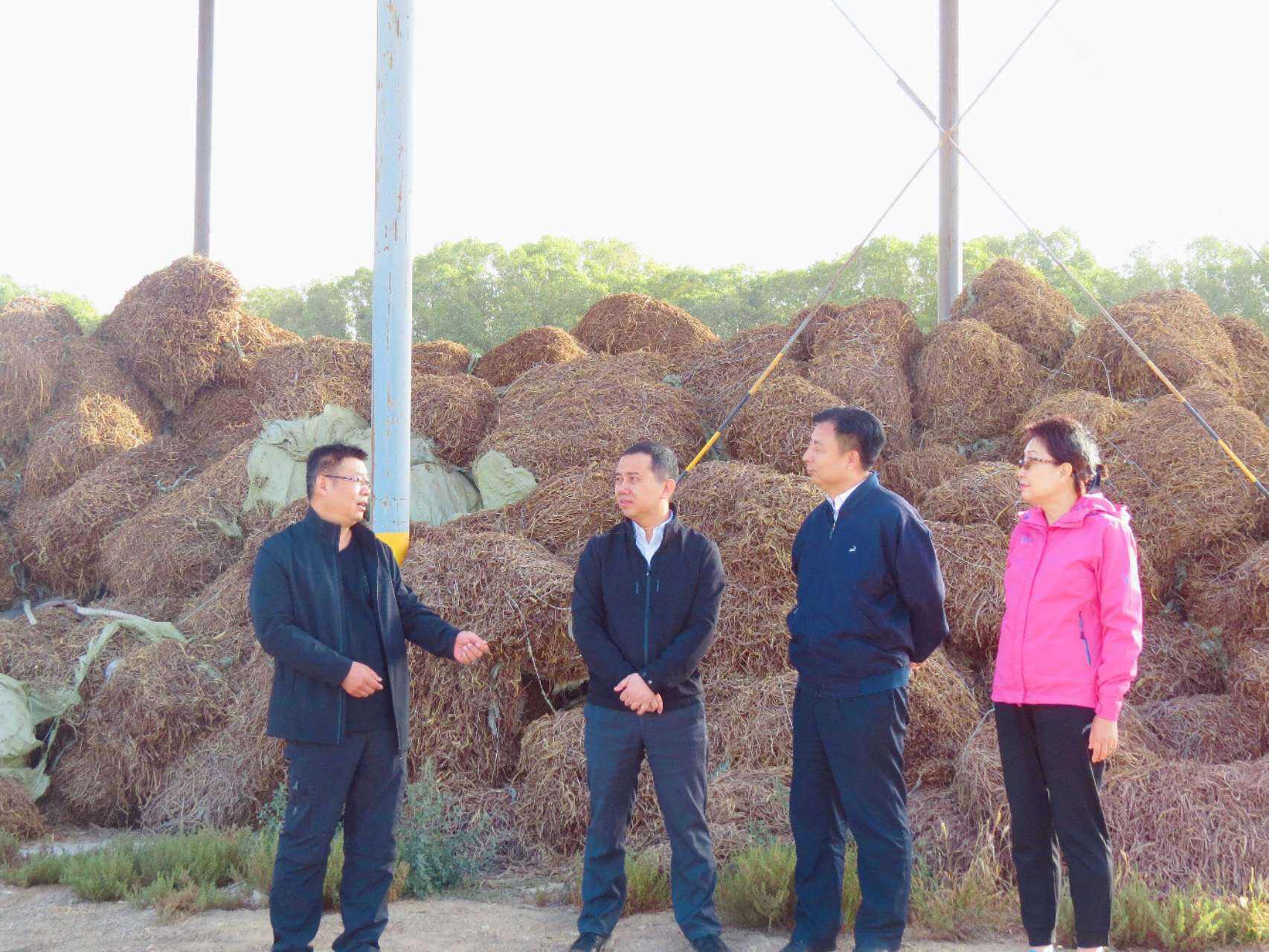 1698287341709558.jpg 845cd0570fa836ca0bee8eb759b5f67.jpg